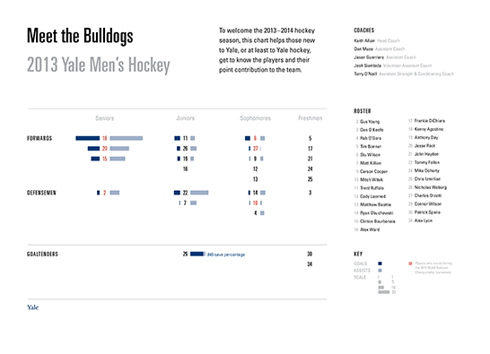 hockey infographic